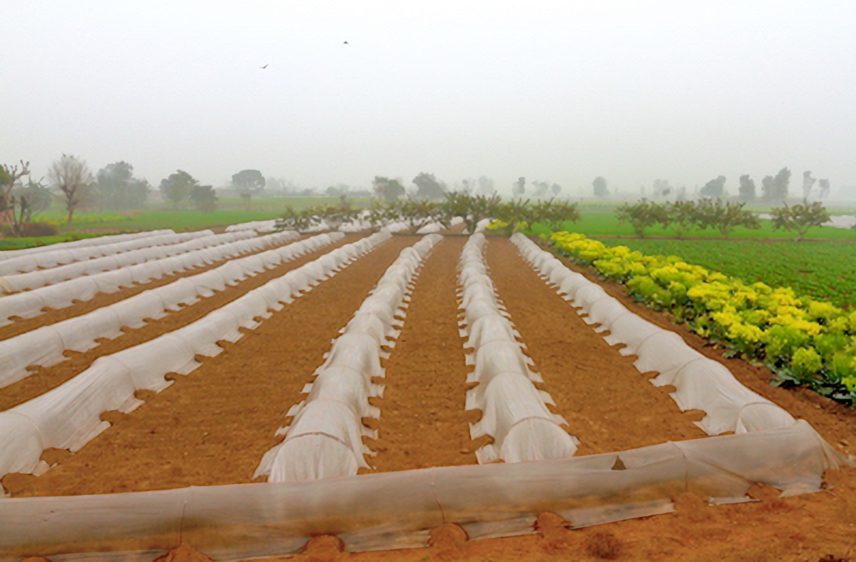 fumigation sheets 